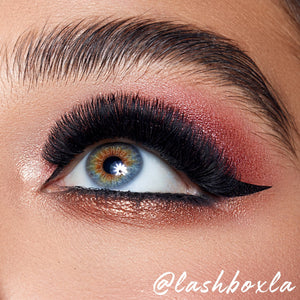 Eyelixir Eyeshadow Color Set of 4 - Retail Set - Color Buzz