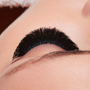 FAVORITE COLLECTION - 0.04 Cashmere Eyelash Extensions
