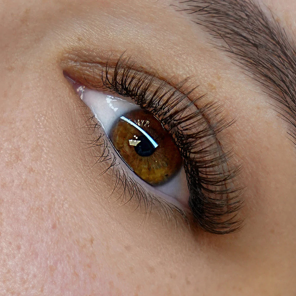 Mocha Brown FAVORITE Cashmere Faux Mink Lashes - 0.03mm Single Length (18 Lines Tray)
