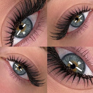 Pixie Camellia Wet/ Volume Individual Professional Eyelash Extension