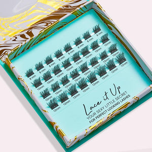 Lace It Up Starter Kit