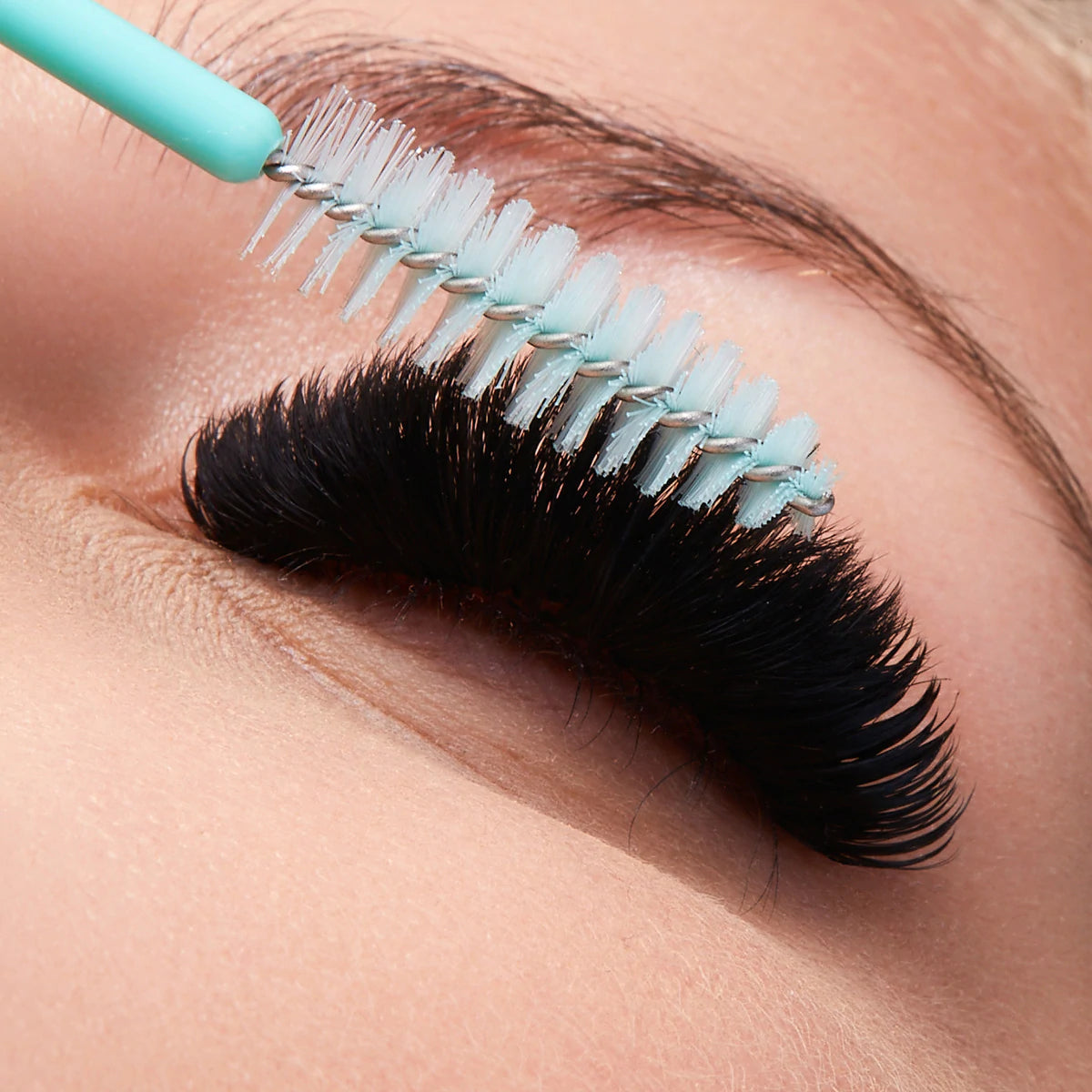 FAVORITE COLLECTION - 0.04 Cashmere Eyelash Extensions