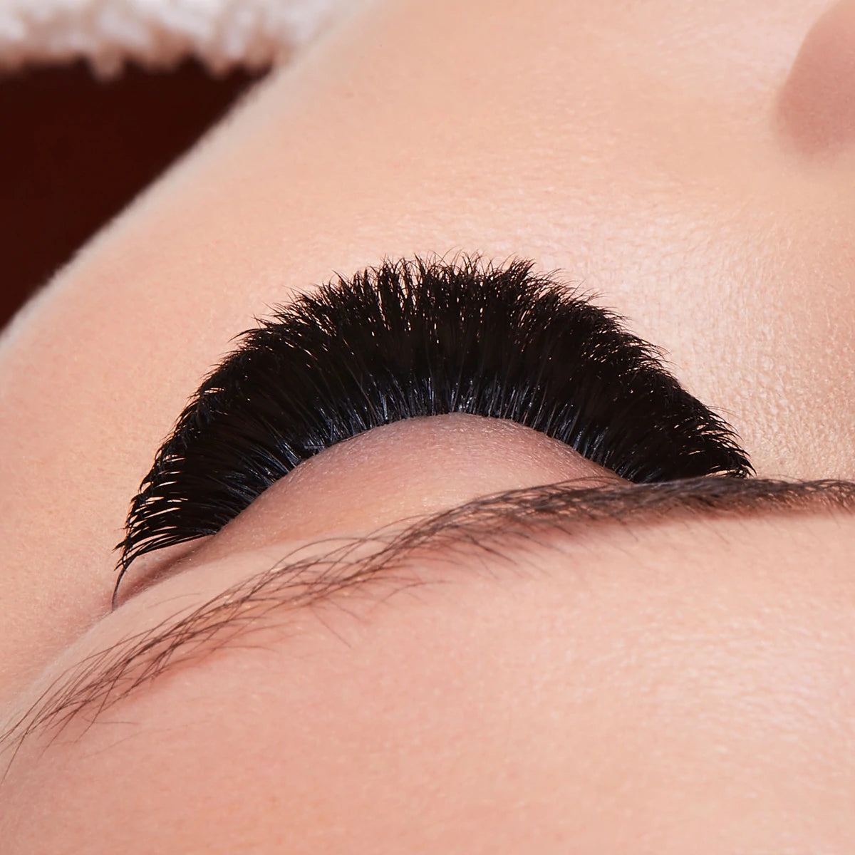 FAVORITE COLLECTION - 0.04 Cashmere Eyelash Extensions